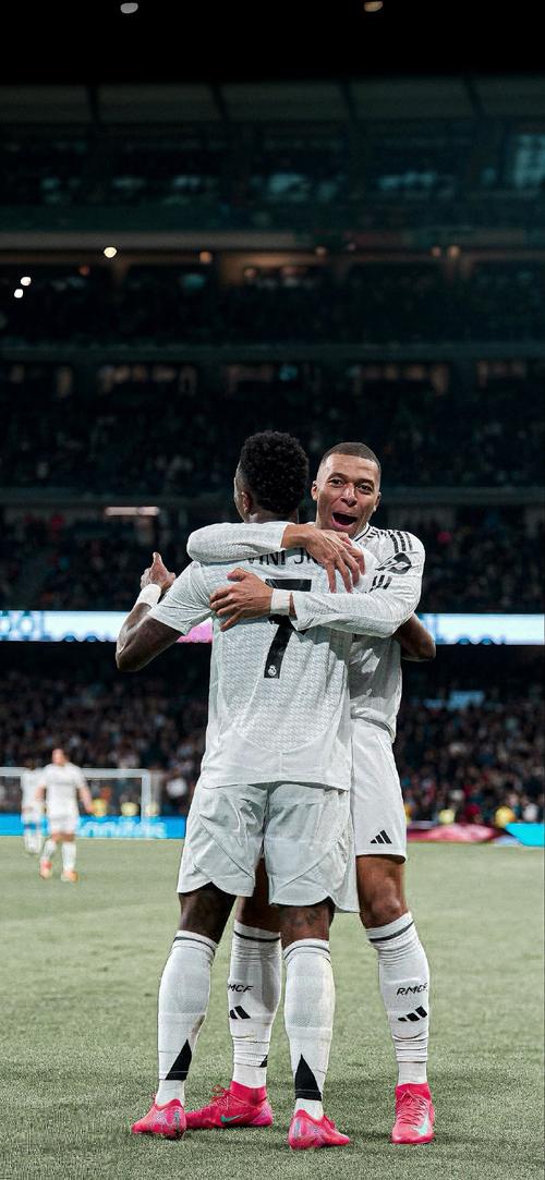 天津日报：联赛收官战将有约3000名申花球迷到天津观战助威